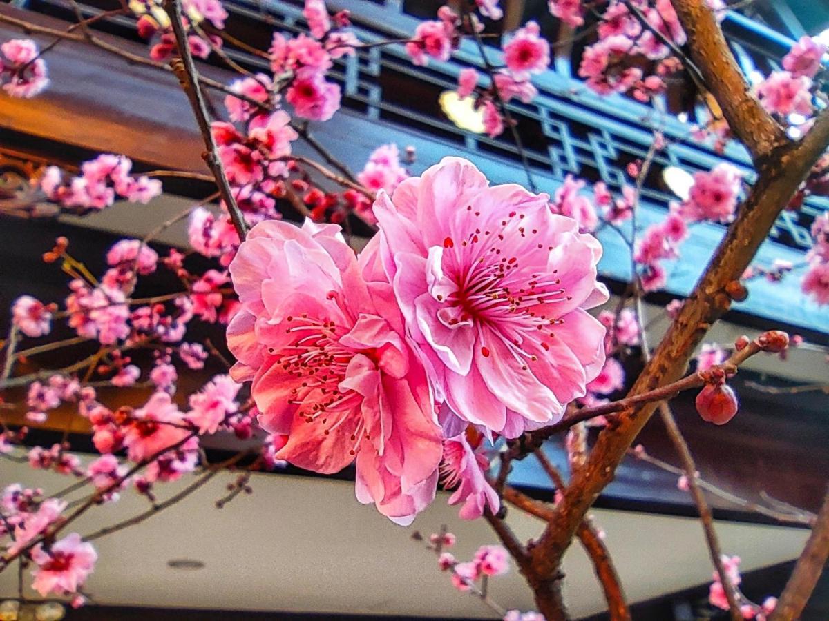 Doof Resort Hotel Lijiang  Eksteriør bilde